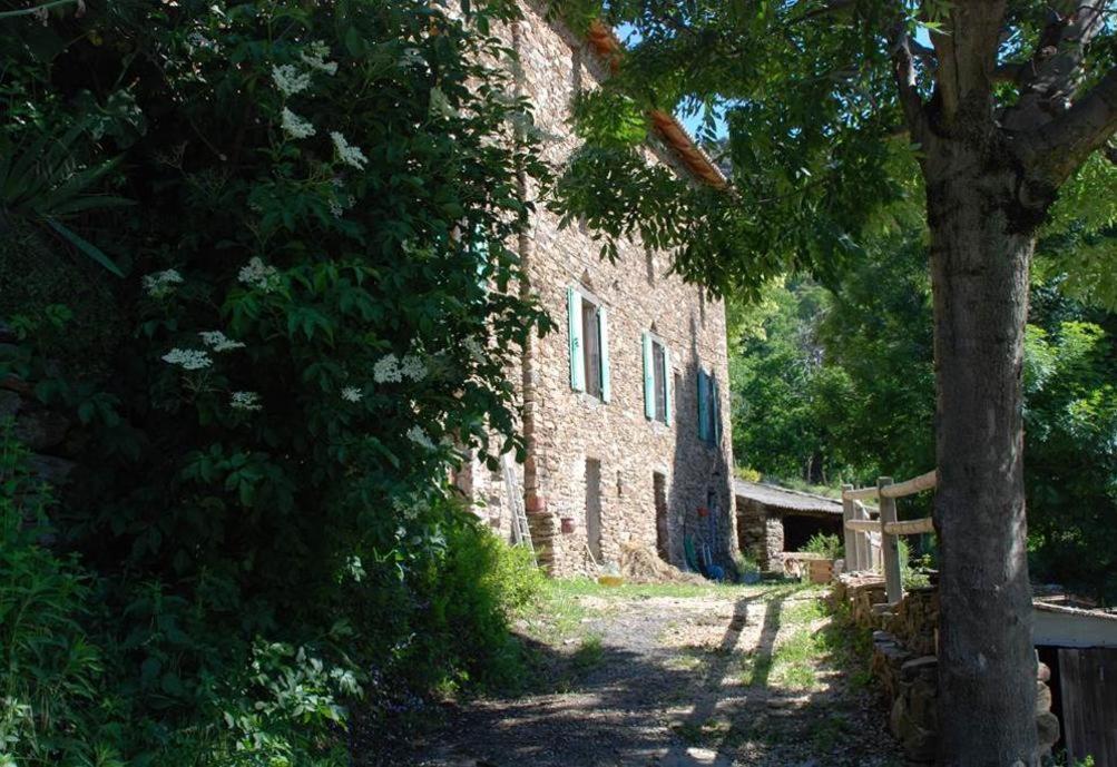 Gite De Fontfouillouse Les Plantiers Exterior foto